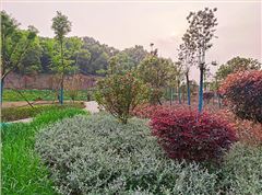 衡陽市常寧水口山鉛鋅煤礦區(qū)山水林田湖草生態(tài)保護(hù)修復(fù)試點工程