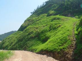 郴州市臨武縣三十六灣及東山風電廠生態(tài)建設(shè)項目