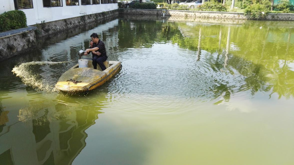 深圳市香密湖管理處內(nèi)湖生態(tài)治理