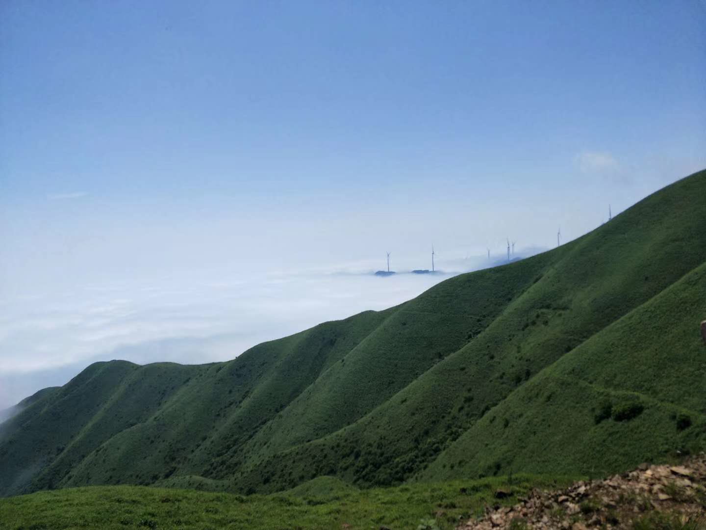 臨武三十六灣風(fēng)電場邊坡綠化、生態(tài)恢復(fù)項目