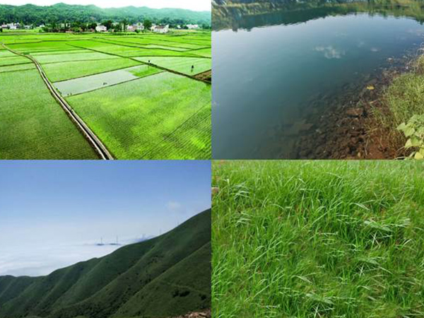 山水林田湖草生態(tài)修復(fù)