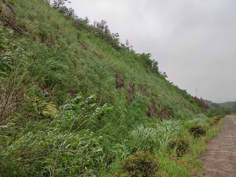 江西彭澤縣馬當鎮(zhèn)子磯頭廢棄礦山生態(tài)環(huán)境恢復治理工程項目