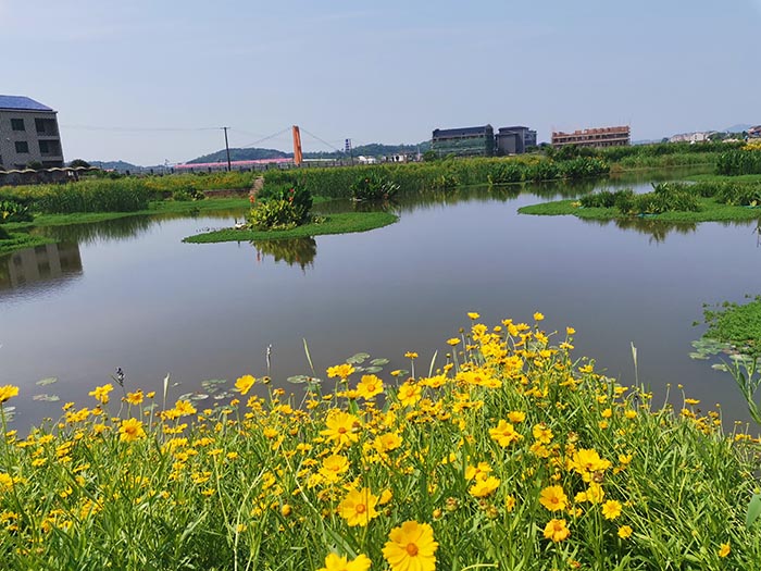 衡陽(yáng)縣蒸水流域山水林田湖草生態(tài)保護(hù)修復(fù)工程試點(diǎn)項(xiàng)目