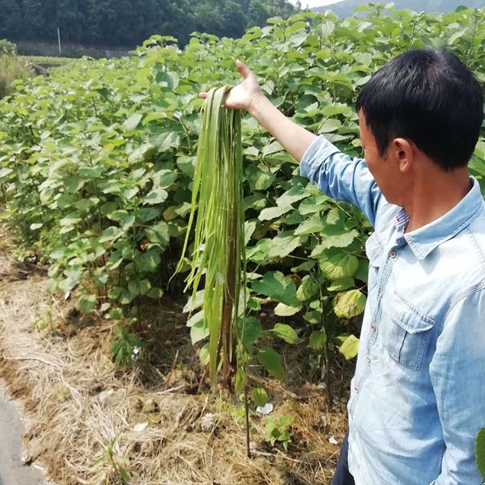 貴州省銅仁市生態(tài)修復(fù)與精準(zhǔn)扶貧示范區(qū)