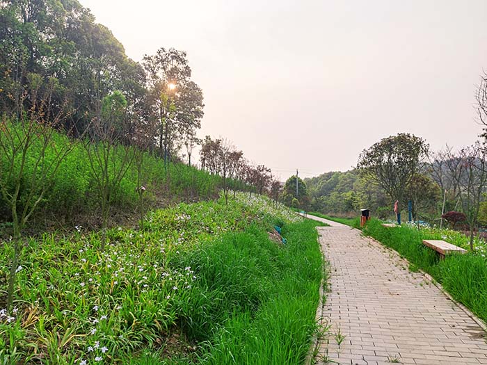 衡陽(yáng)市常寧水口山鉛鋅煤礦區(qū)山水林田湖草生態(tài)保護(hù)修復(fù)試點(diǎn)工程