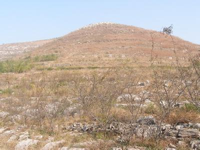 益陽(yáng)市泥江口石子塘礦山生態(tài)修復(fù)——國(guó)家油茶林示范基地