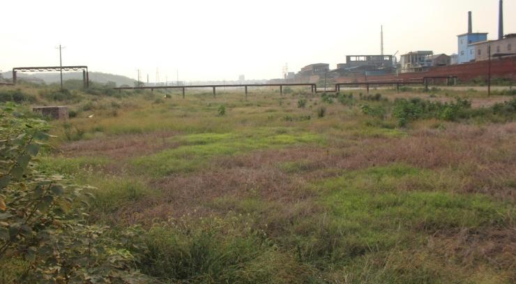 常寧市水松地區(qū)土壤治理及生態(tài)建設項目