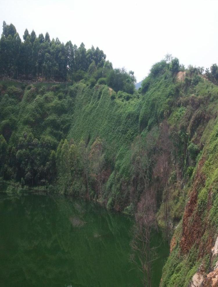 東莞黃閣嶺采石場土工格柵法山體修復