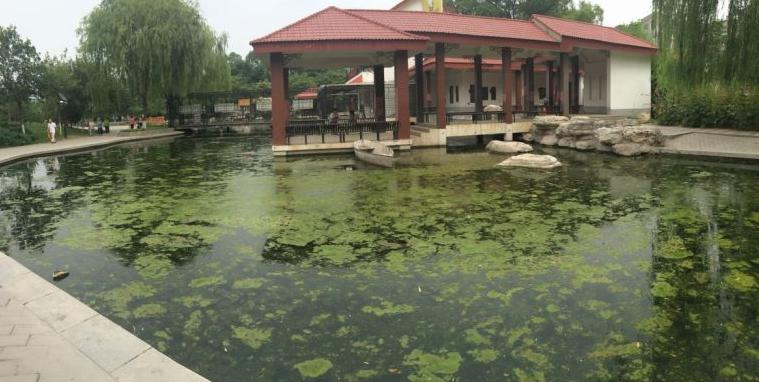 河北省保定市公園水生態(tài)之污水修復(fù)處理