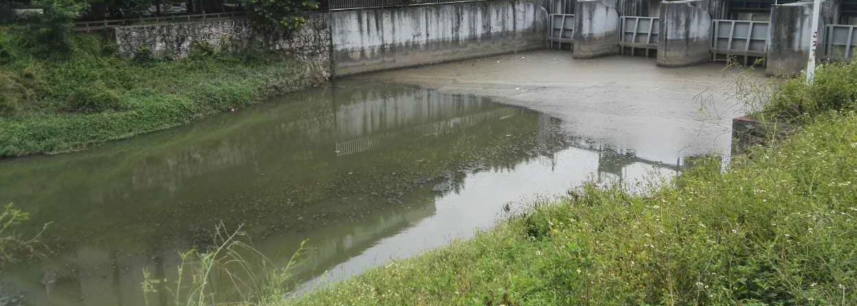 深圳市新洲河出海口河道生態(tài)修復(fù)污水處理