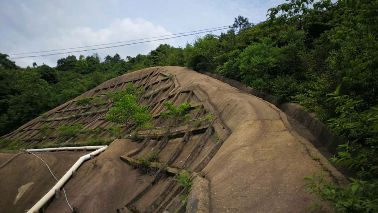 醴陵市國土資源局后山護坡生態(tài)覆綠項目