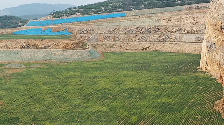 鶴壁市淇濱區(qū)南太行地區(qū)山水林田湖草生態(tài)保護修復工程