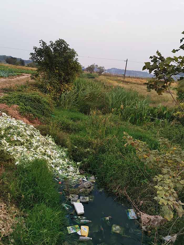 衡陽(yáng)縣蒸水流域山水林田湖草生態(tài)保護(hù)修復(fù)工程試點(diǎn)項(xiàng)目