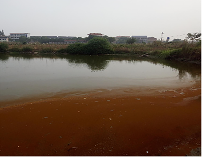 衡陽(yáng)縣蒸水流域山水林田湖草生態(tài)保護(hù)修復(fù)工程試點(diǎn)項(xiàng)目